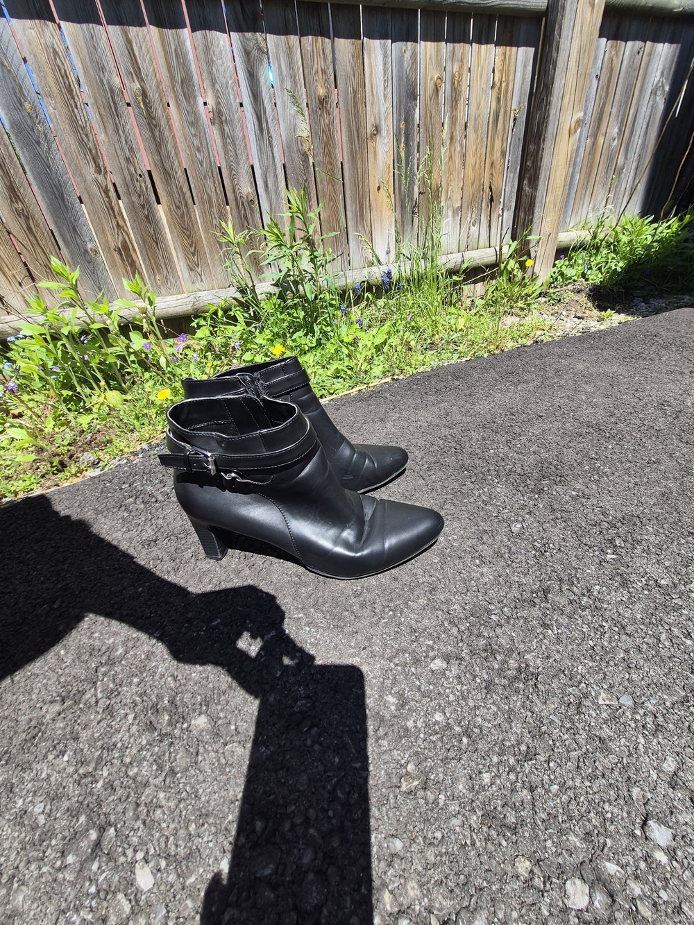 Chaps Women's Black Pointed Toe Ankle Boots - Classic Heel - Picture 5 of 5